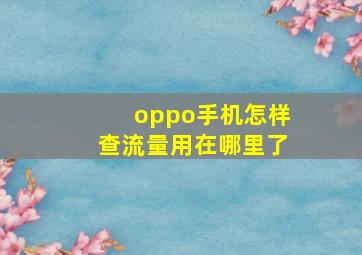 oppo手机怎样查流量用在哪里了