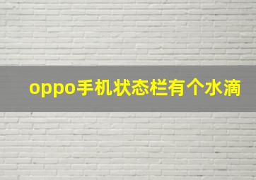 oppo手机状态栏有个水滴