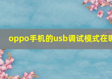 oppo手机的usb调试模式在哪