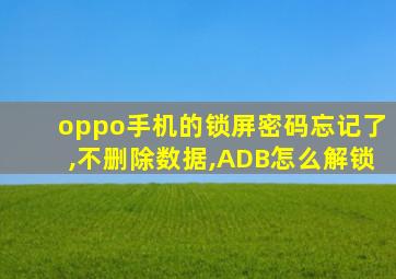 oppo手机的锁屏密码忘记了,不删除数据,ADB怎么解锁