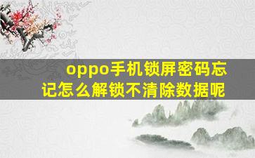 oppo手机锁屏密码忘记怎么解锁不清除数据呢