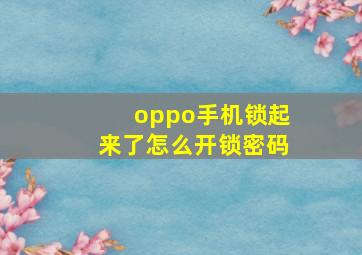 oppo手机锁起来了怎么开锁密码