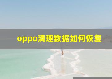 oppo清理数据如何恢复