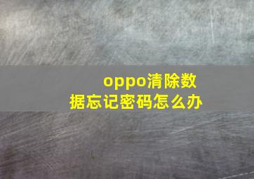 oppo清除数据忘记密码怎么办