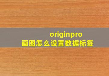 originpro画图怎么设置数据标签