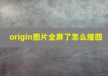 origin图片全屏了怎么缩回