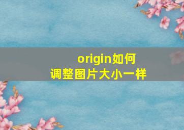 origin如何调整图片大小一样