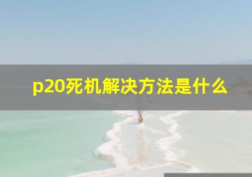 p20死机解决方法是什么