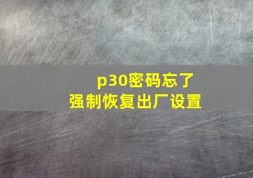 p30密码忘了强制恢复出厂设置