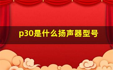 p30是什么扬声器型号