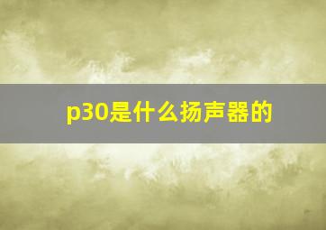 p30是什么扬声器的