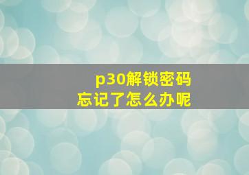 p30解锁密码忘记了怎么办呢