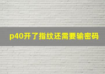 p40开了指纹还需要输密码