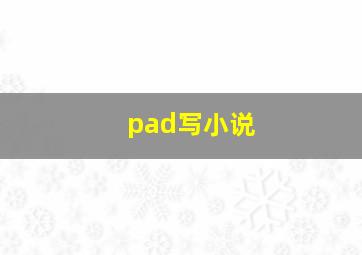 pad写小说