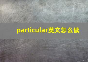 particular英文怎么读