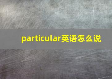 particular英语怎么说