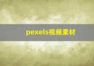 pexels视频素材