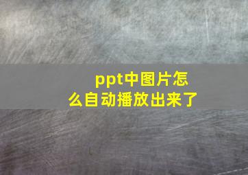 ppt中图片怎么自动播放出来了