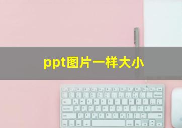 ppt图片一样大小