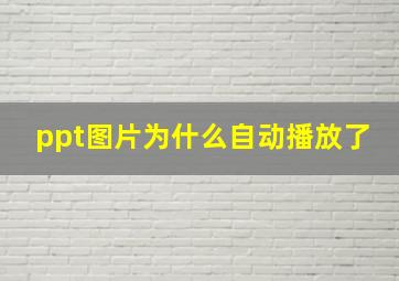 ppt图片为什么自动播放了