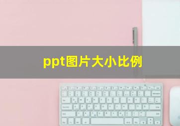 ppt图片大小比例