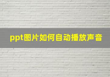 ppt图片如何自动播放声音