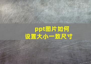 ppt图片如何设置大小一致尺寸