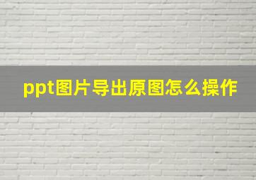 ppt图片导出原图怎么操作