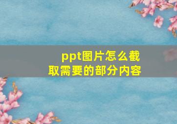 ppt图片怎么截取需要的部分内容