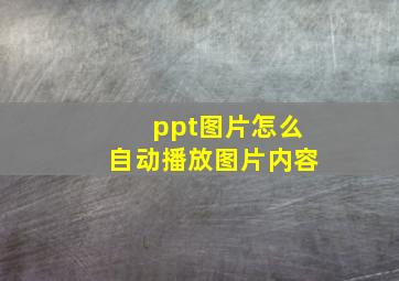 ppt图片怎么自动播放图片内容