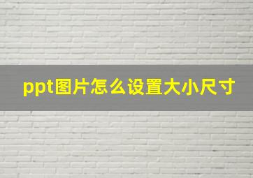 ppt图片怎么设置大小尺寸