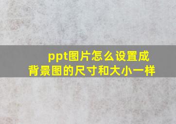 ppt图片怎么设置成背景图的尺寸和大小一样