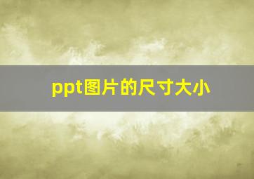 ppt图片的尺寸大小