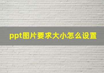 ppt图片要求大小怎么设置