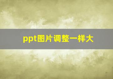 ppt图片调整一样大