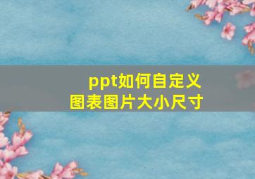 ppt如何自定义图表图片大小尺寸