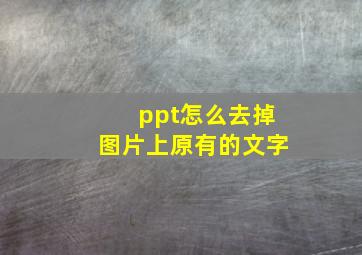 ppt怎么去掉图片上原有的文字