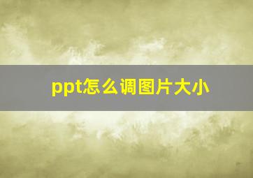 ppt怎么调图片大小