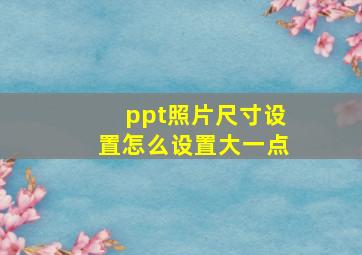 ppt照片尺寸设置怎么设置大一点