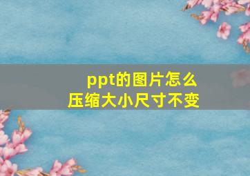 ppt的图片怎么压缩大小尺寸不变