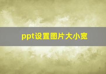 ppt设置图片大小宽