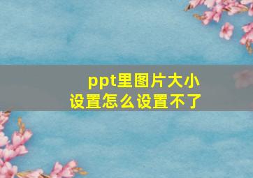 ppt里图片大小设置怎么设置不了