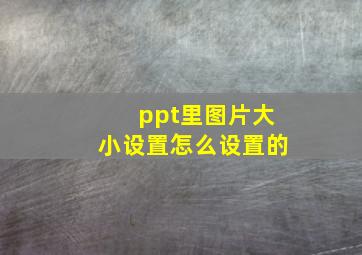 ppt里图片大小设置怎么设置的