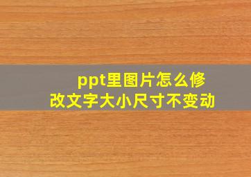 ppt里图片怎么修改文字大小尺寸不变动