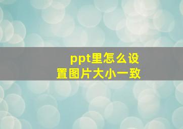 ppt里怎么设置图片大小一致