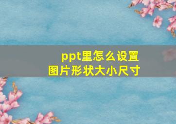 ppt里怎么设置图片形状大小尺寸