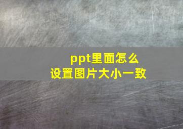 ppt里面怎么设置图片大小一致