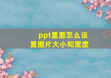 ppt里面怎么设置图片大小和宽度