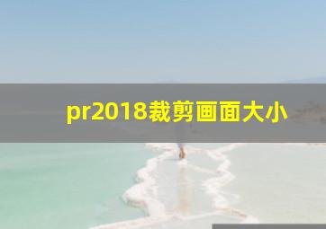 pr2018裁剪画面大小