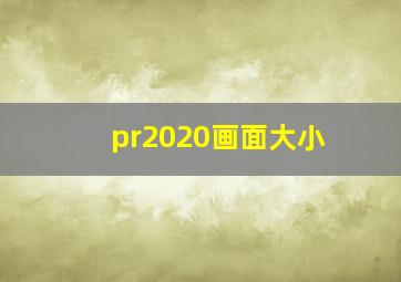 pr2020画面大小